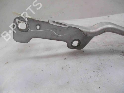 Hinge/Door check strap RENAULT CLIO III (BR0/1, CR0/1) 1.5 dCi (BR0H, CR0H, CR1S, BR1S) | BP26624446C146 