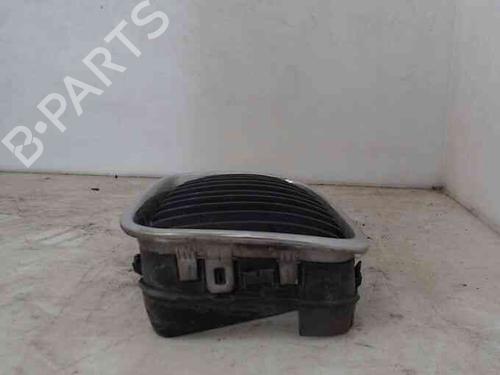 Grille BMW 3 (E46)  | BP21833534C40 