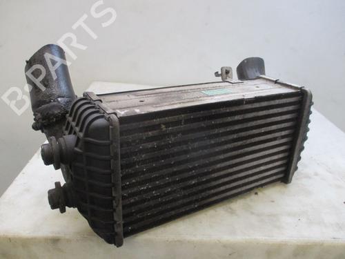 Intercooler HYUNDAI i20 I (PB, PBT) 1.1 CRDi | BP30915461M30