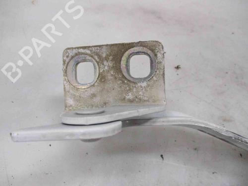 Hinge/Door check strap RENAULT KANGOO Express (FW0/1_)  | BP26624670C146 