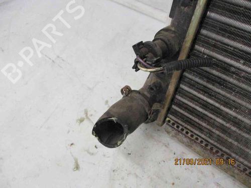 Water radiator FIAT PUNTO (176_) 1.2 16V | BP19717490M31 