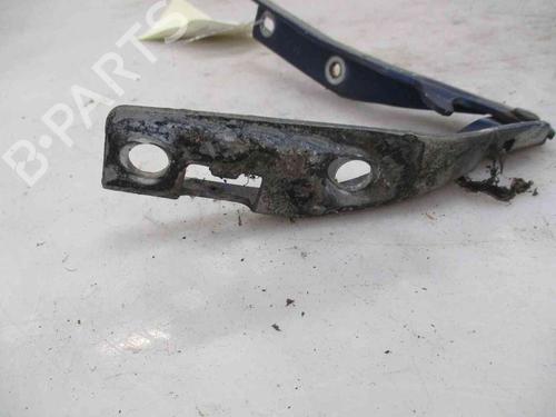 Hinge/Door check strap PEUGEOT 206 Hatchback (2A/C)  | BP26627653C146 