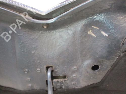 Hood CITROËN C4 Picasso I MPV (UD_) 1.6 HDi | BP30187199C1