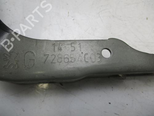 Hinge/Door check strap PEUGEOT 208 I (CA_, CC_) 1.6 GTi | BP19724230C146 