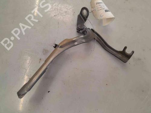 Used Hinge/Door check strap CITROËN C3 I (FC_, FN_) [2002-2013]  26624408