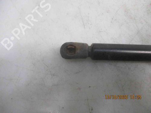 Tailgate lift support NISSAN MICRA III (K12) 1.2 16V | BP19735286C138 