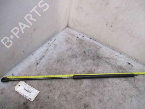 Used Hood lift support RENAULT MEGANE III Hatchback (BZ0/1_, B3_) 1.5 dCi (86 hp) 20204821
