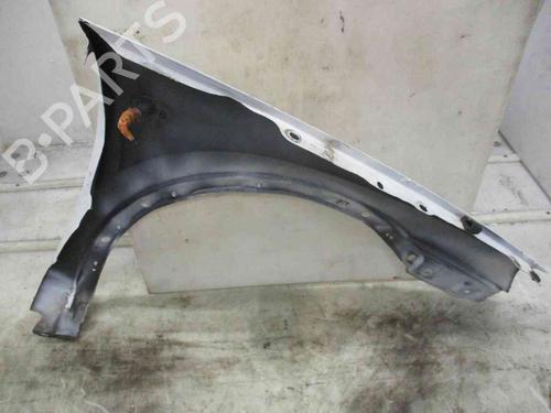 Left front fenders OPEL COMBO Box Body/MPV 1.3 CDTI 16V | BP26628764C41 