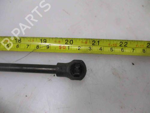 Used Hood lift support CITROËN C5 II (RC_) 1.6 HDi (RC8HZB) (109 hp) 20205011