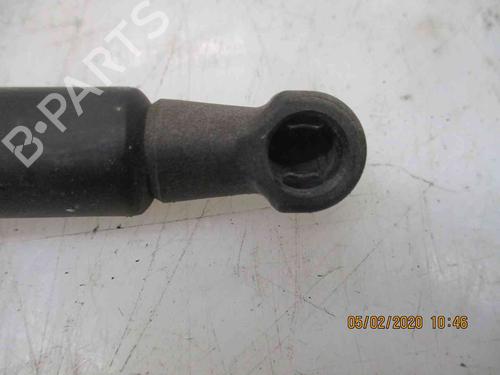 Tailgate lift support FORD KA (RU8) 1.2 | BP19734981C138 