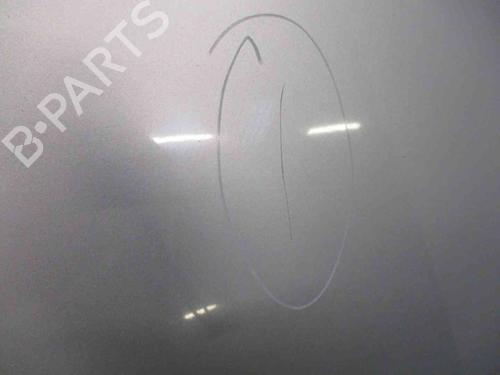 Hood VW SHARAN (7M8, 7M9, 7M6) 1.8 T 20V | BP19718773C1 
