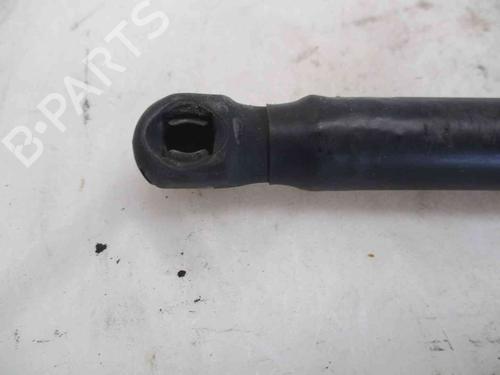Tailgate lift support CITROËN C3 I (FC_, FN_) 1.4 HDi | BP19741981C138 