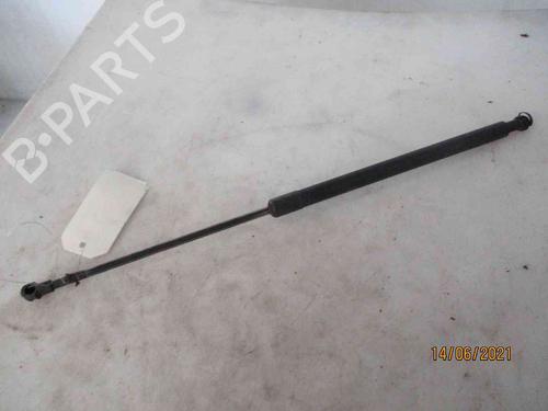 Tailgate lift support NISSAN X-TRAIL I (T30) 2.2 Di 4x4 | BP19738695C138 