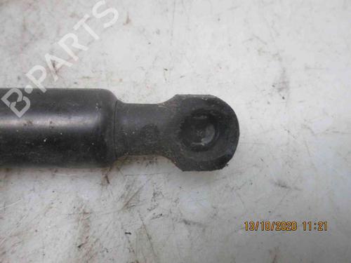Tailgate lift support DACIA SANDERO II 1.2 | BP20204468C138 