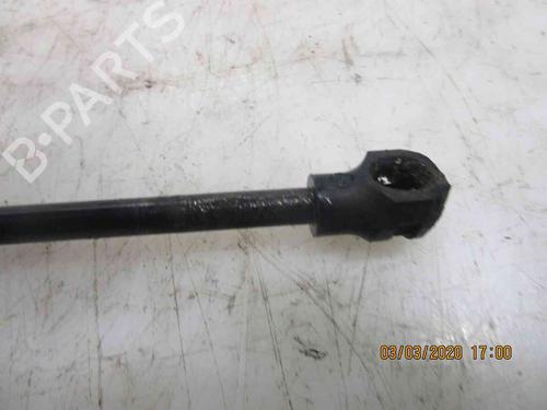Tailgate lift support RENAULT ZOE (BFM_) ZOE | BP19735124C138