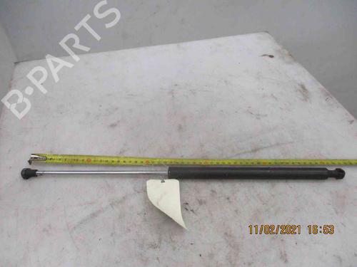 Used Tailgate lift support RENAULT LAGUNA II (BG0/1_) 2.2 dCi (BG0F) (150 hp) 19737019
