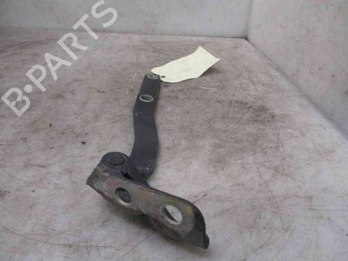 Hinge/Door check strap LAND ROVER FREELANDER I (L314)  | BP19723081C146 