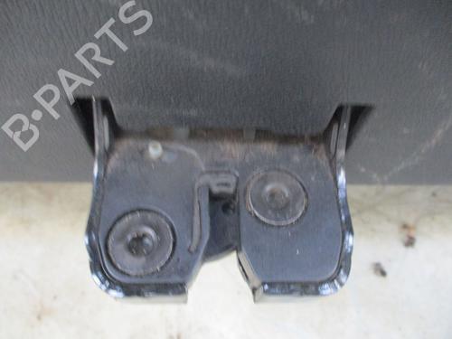 Tailgate RENAULT SCÉNIC III (JZ0/1_) 1.6 dCi (JZ00, JZ12) | BP29317583C6 