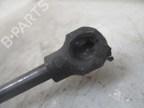 Hood lift support RENAULT CLIO IV (BH_) 0.9 TCe 90 (BHNF, BHMA, BHMH, BHJK, BHJR) | BP26639428C139 