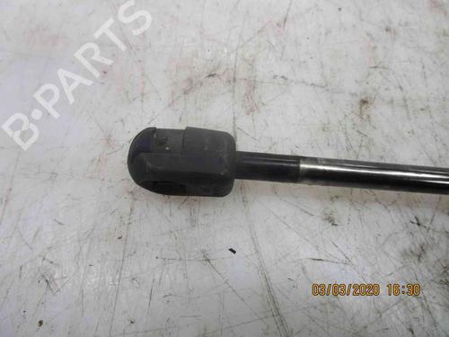 Tailgate lift support RENAULT MEGANE II Estate (KM0/1_) 1.5 dCi (KM16, KM1E) | BP20508890C138 
