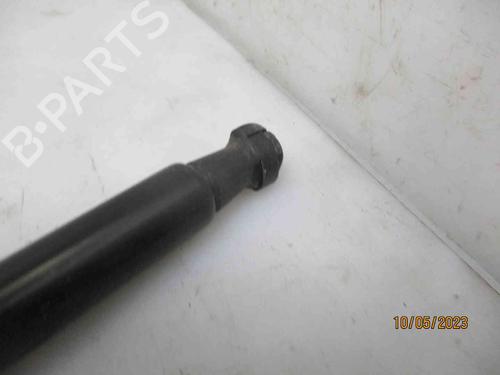 Tailgate lift support BMW 1 (F20) 118 d | BP25735267C138