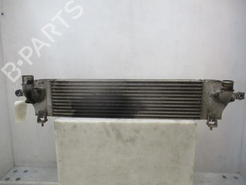 Intercooler NISSAN QASHQAI I (J10, NJ10) 2.0 dCi (150 hp) 31723699