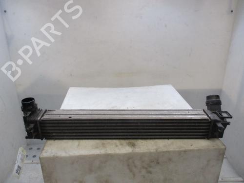 Intercooler RENAULT SCÉNIC III (JZ0/1_) 1.5 dCi | BP30163120M30