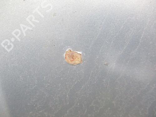 Hood SKODA FABIA I Combi (6Y5) 1.9 TDI | BP26019141C1 