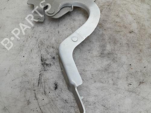 Hinge/Door check strap RENAULT ZOE (BFM_) ZOE | BP35885547C146 - Image 2