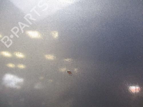Hood NISSAN MICRA III (K12) 1.2 16V | BP29738687C1