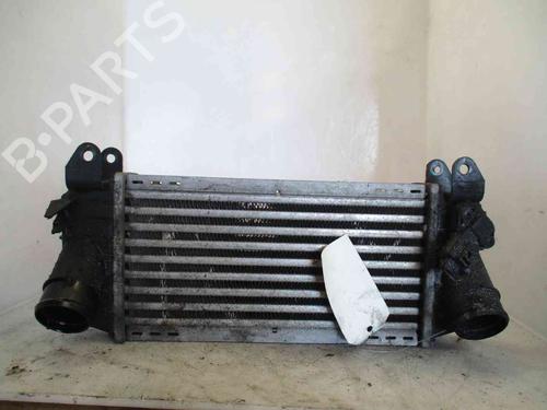 Intercooler AUDI A2 (8Z0) 1.4 TDI (75 hp) 24007982