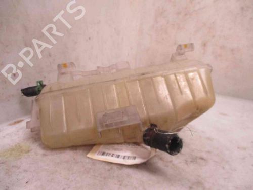 Expansion tank RENAULT KANGOO Express (FW0/1_)  | BP20206017C120 