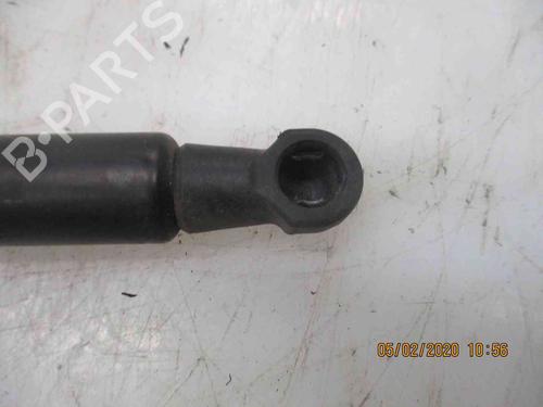 Tailgate lift support FORD KA (RU8) 1.2 | BP19734982C138