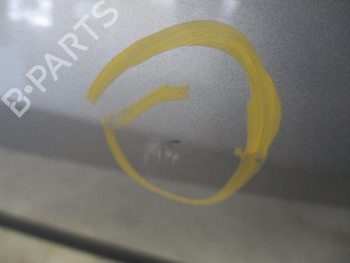 Right front door RENAULT CLIO III (BR0/1, CR0/1) 1.4 16V | BP29263303C3 