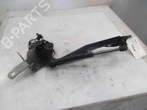 Used Hinge/Door check strap RENAULT SCÉNIC III (JZ0/1_) 1.2 TCe (116 hp) 26633203