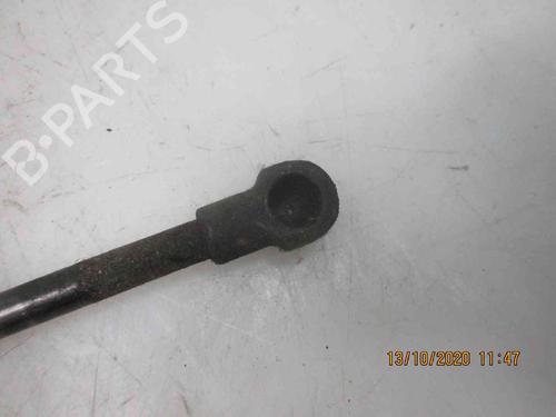 Tailgate lift support SEAT ALTEA (5P1)  | BP19735288C138 