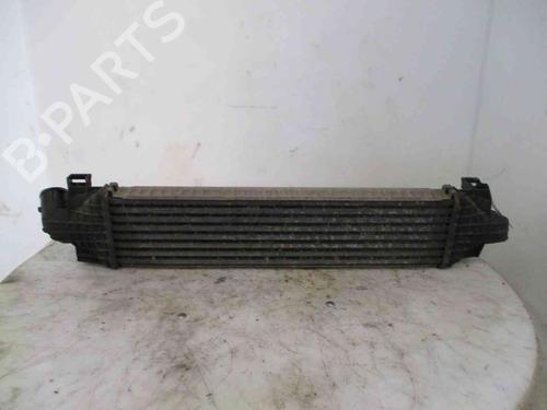 Intercooler FORD FOCUS C-MAX (DM2) 1.8 TDCi | BP20205882M30 