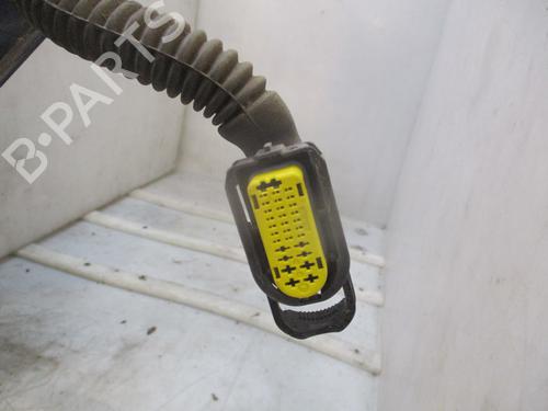 Left rear door RENAULT CLIO III (BR0/1, CR0/1) 1.5 dCi (C/BR0G, C/BR1G) | BP31663910C4 