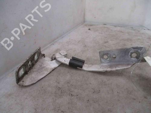 Used Hinge/Door check strap FORD TRANSIT CONNECT (P65_, P70_, P80_) 1.8 TDCi (90 hp) 19716440