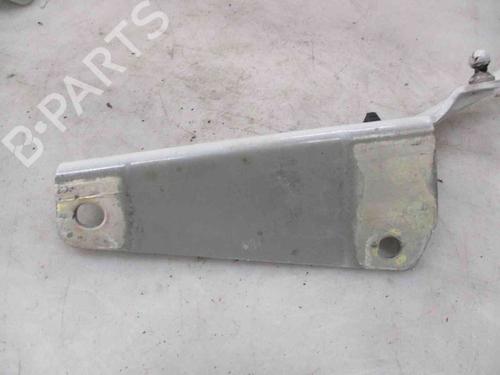 Hinge/Door check strap RENAULT KANGOO Express (FW0/1_)  | BP26624675C146 