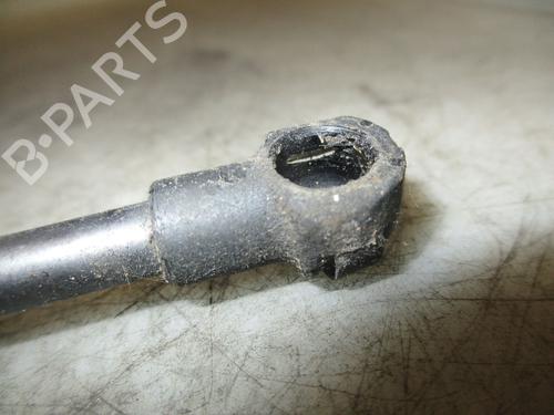 Hood lift support BMW 3 (E46) 318 d | BP24121967C139
