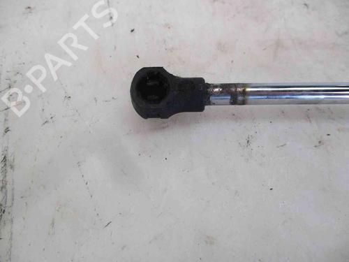 Gassdemper Bakluke RENAULT CLIO III (BR0/1, CR0/1)  | BP26632949C138 