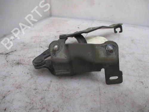 Hinge/Door check strap RENAULT SCÉNIC II (JM0/1_) 1.9 dCi (JM14) | BP19712958C146 