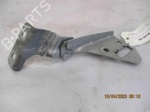 Used Hinge/Door check strap RENAULT MEGANE II (BM0/1_, CM0/1_) [2001-2012]  19739627