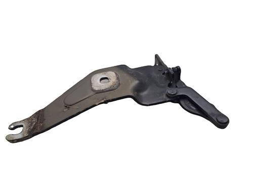 Hinge/Door check strap BMW X5 (E70) xDrive 40 d | BP40201829C146 - Image 2