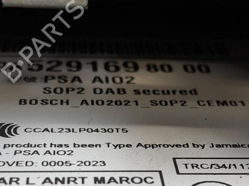 Display PEUGEOT 208 II (UB_, UP_, UW_, UJ_) e-208 | BP29182761C48 