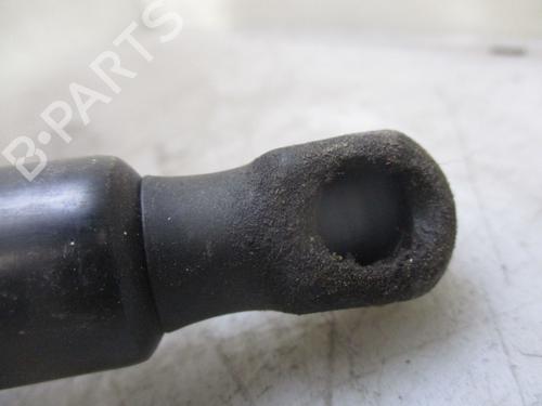 Tailgate lift support OPEL CROSSLAND X / CROSSLAND (P17, P2QO) 1.2 (75) | BP24971328C138 