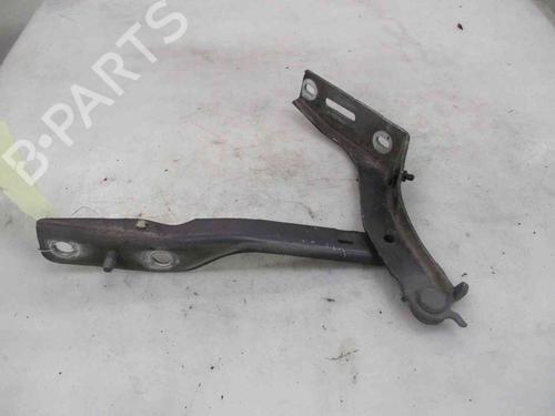 Hinge/Door check strap PEUGEOT 307 (3A/C) 2.0 16V | BP19722337C146 