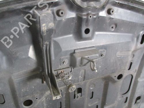 Hood RENAULT MEGANE III Coupe (DZ0/1_) 1.9 dCi (DZ0N, DZ0J, DZ1J, DZ1K) | BP26121294C1 