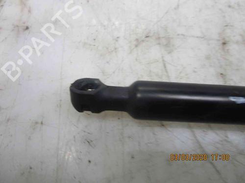 Tailgate lift support RENAULT ZOE (BFM_) ZOE | BP19735124C138
